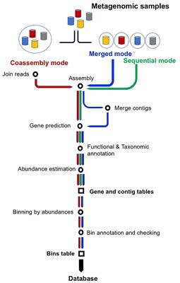 SqueezeMeta, A Highly Portable, Fully Automatic Metagenomic Analysis Pipeline